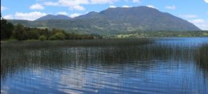 Humedal Cua Cua en Lago Neltume