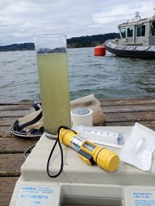 El deterioro del lago Vichuquén evidencia la necesidad de abordar de manera integral la restauración del ecosistema y la protección de la cuenca que lo sustenta.