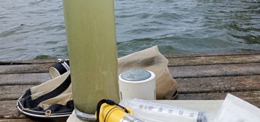 El deterioro del lago Vichuquén evidencia la necesidad de abordar de manera integral la restauración del ecosistema y la protección de la cuenca que lo sustenta.